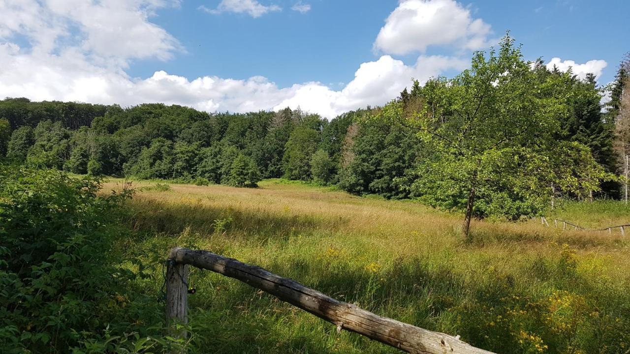 Schöner Weitblick Bad Sachsa Exterior foto