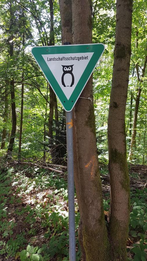 Schöner Weitblick Bad Sachsa Exterior foto